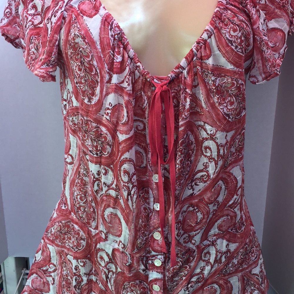 Lucky paisley pea plum romantic sheer spring top m
